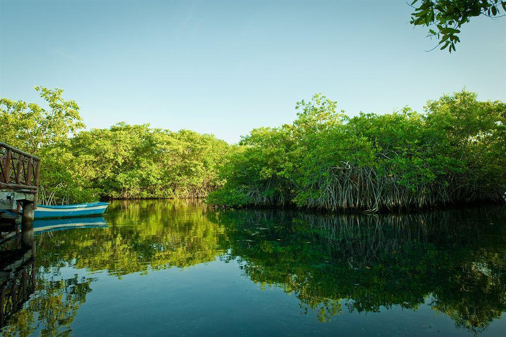 Bel Air Collection Resort & Spa Riviera Maya Xpu Ha Exteriör bild